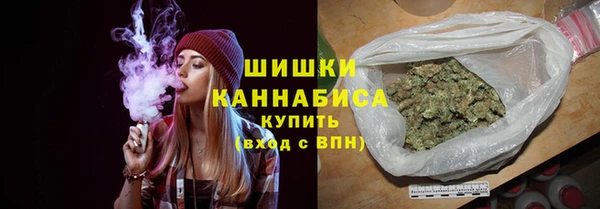 Альфа ПВП Аша