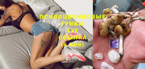 дживик Балахна